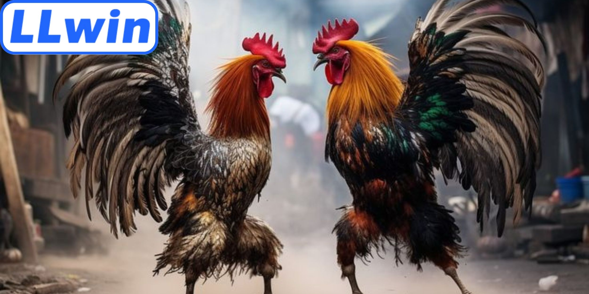 Cách đánh giá diễn biến trận đấu nhanh chóng