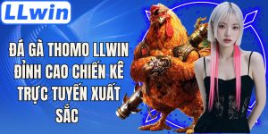 Đá Gà Thomo LLwin Đỉnh Cao Chiến Kê Trực Tuyến Xuất Sắc